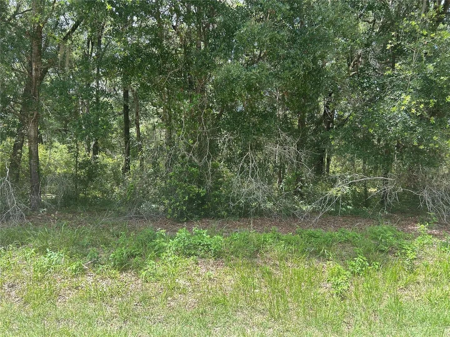 Property from SW 111 LANE - KW - Dunnellon, Florida, 34432