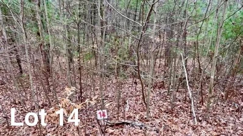 Vacant Land in Stuart - Stuart, North Carolina, 27141