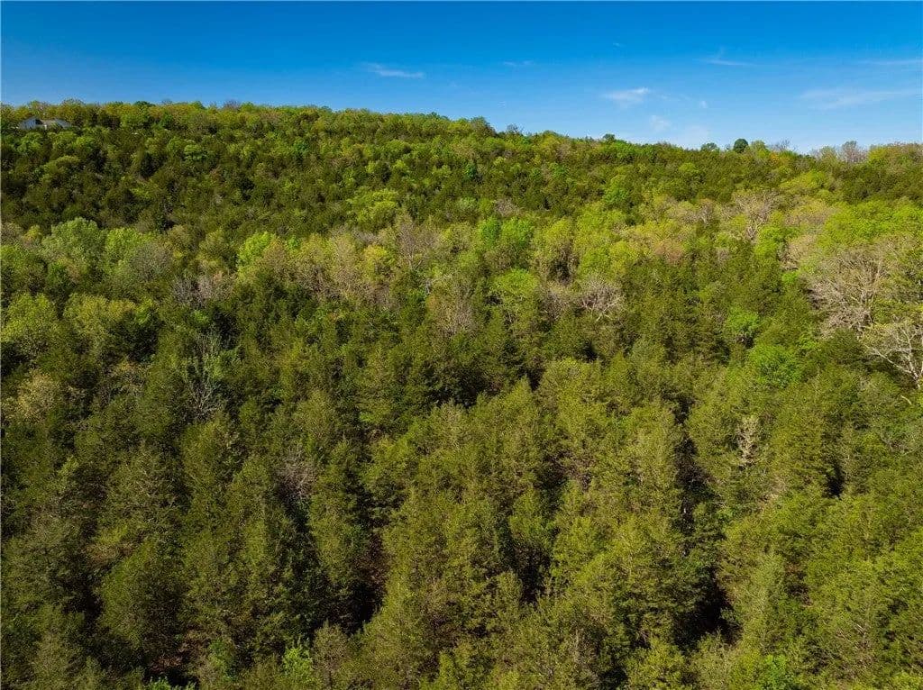 Lots & Land-Other in Berryville - Berryville, Arkansas, 72616