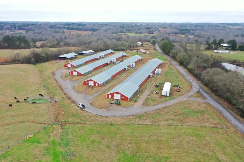 PRICE REDUCED - Light Broiler Farm – Four House Farm in Cullman Co, Alabama