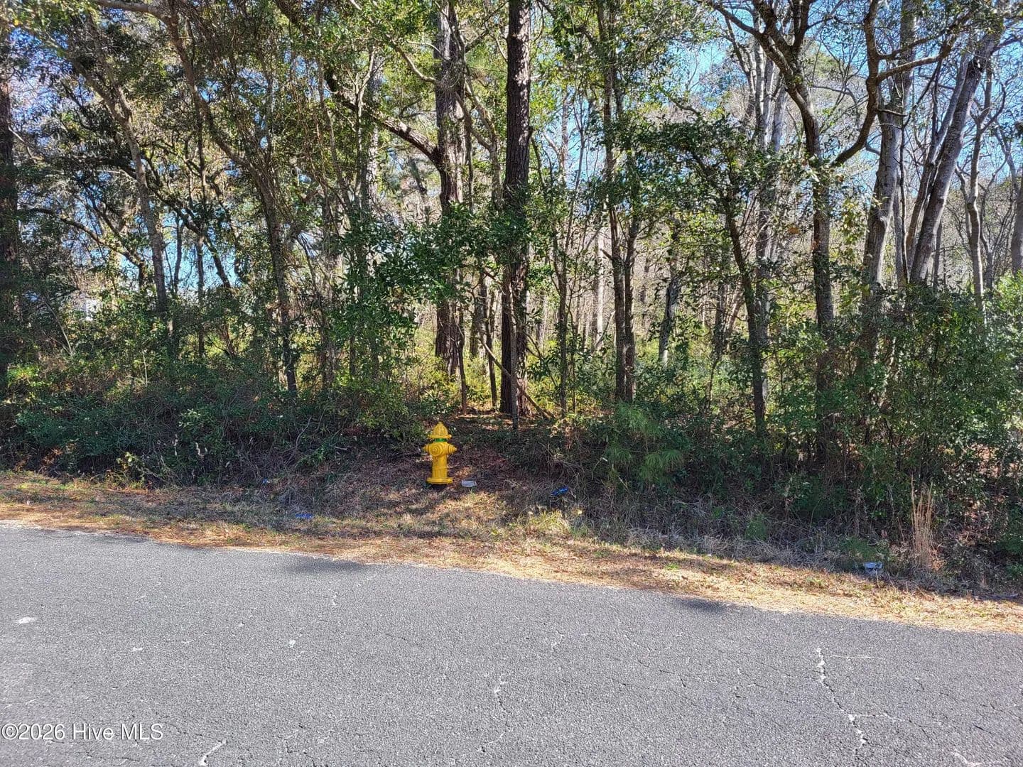 Vacant Land in Supply - Supply, North Carolina, 28462