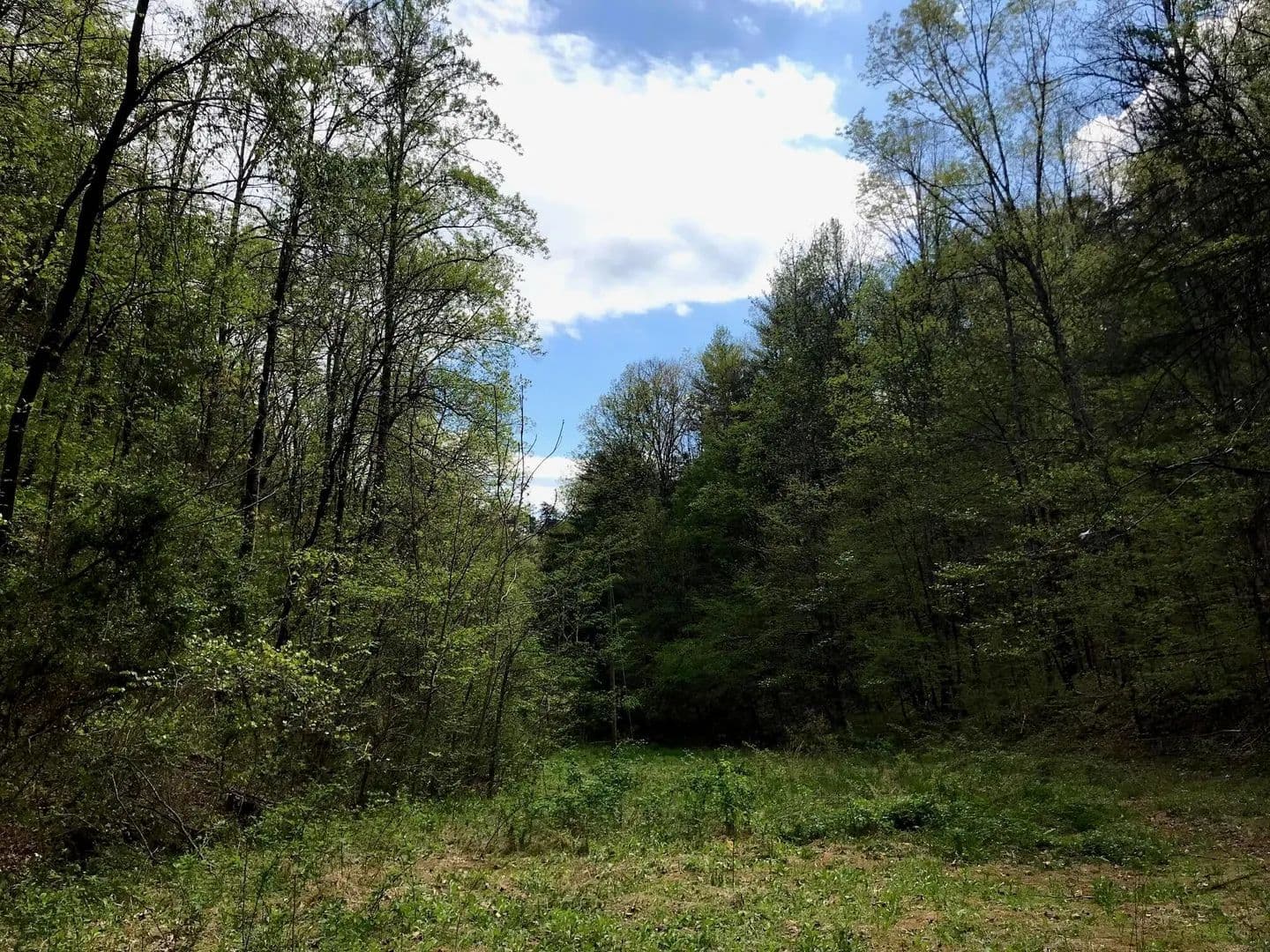 Land -Agricultural (Not Zoned) in Tellico Plains - Tellico Plains, Tennessee, 37385