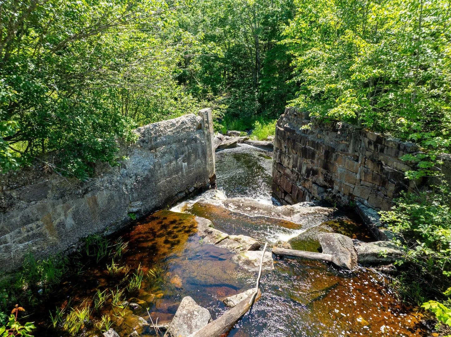 42 Acres of Land for Sale in Marshfield, ME - Marshfield, Maine, 04654