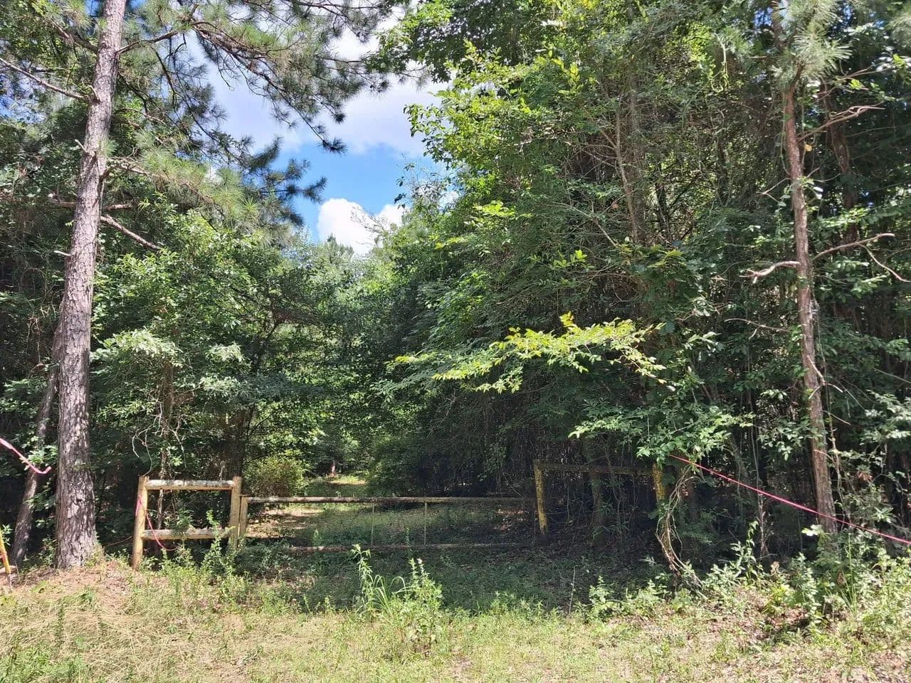 Old River 20 - Norphlet, Arkansas, 71759