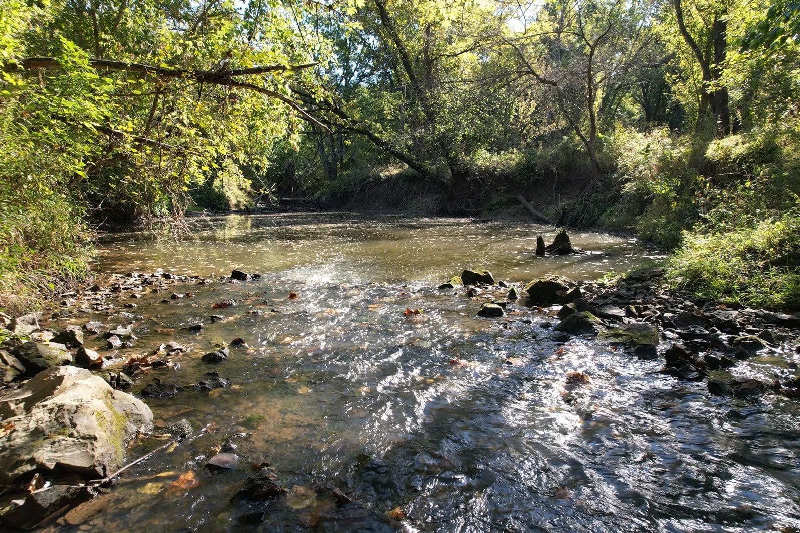 118.8 Acres of Recreational, Tillable, & Timber Land – Randolph County - Moberly, Missouri, 65270