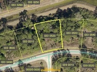 Vacant Land in Lehigh Acres - Lehigh Acres, Florida, 33974