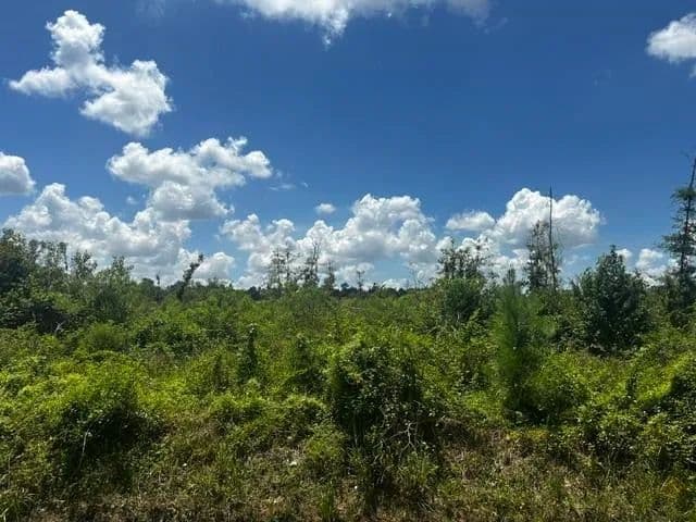 Vacant Land (10+ Acres) in Beaumont - Beaumont, Texas, 77708