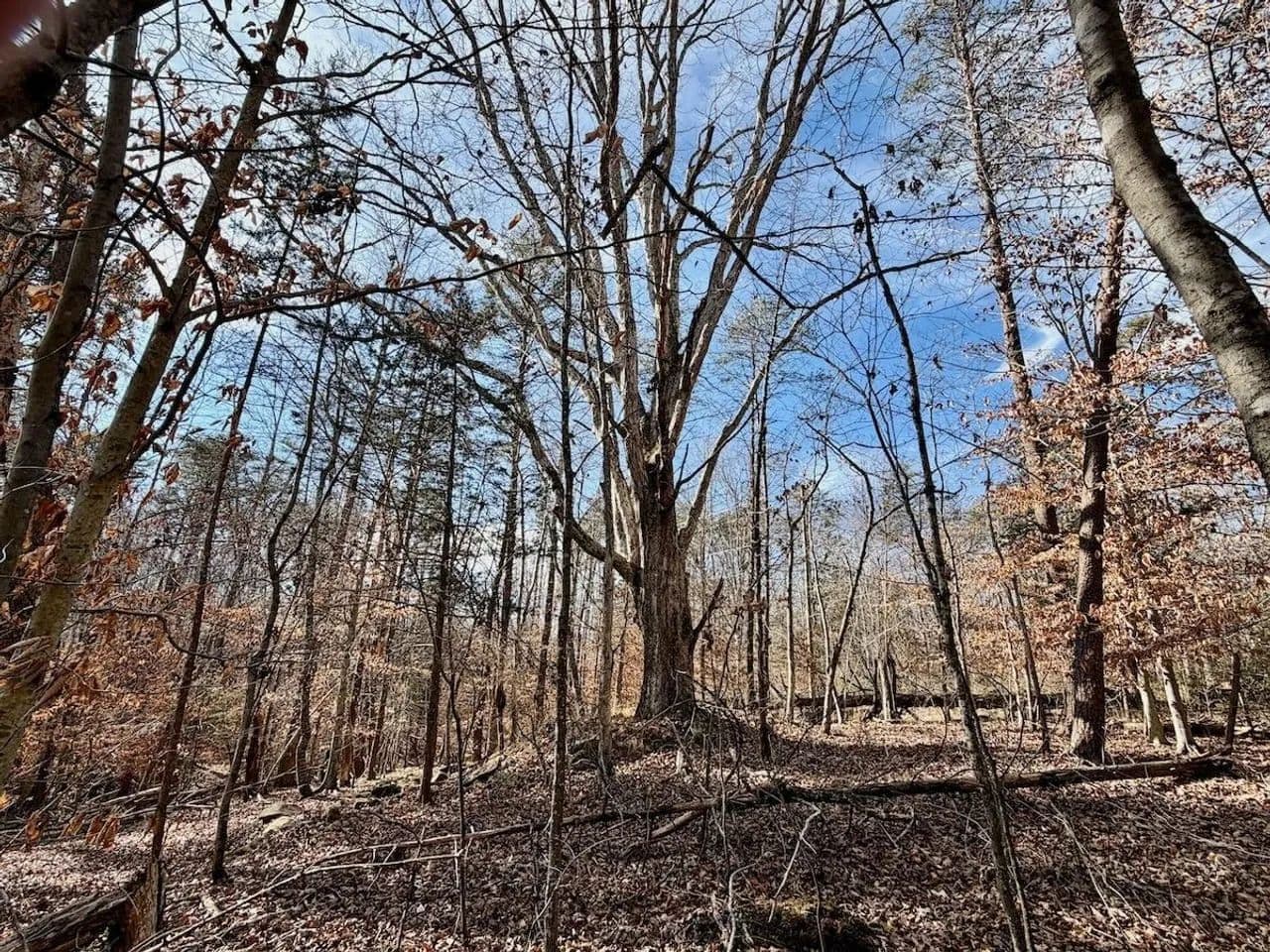 UPDATED!!  8.158 acres of Residential and Recreational Land for Sale in Nelson County VA! - Howardsville, Virginia, 24562