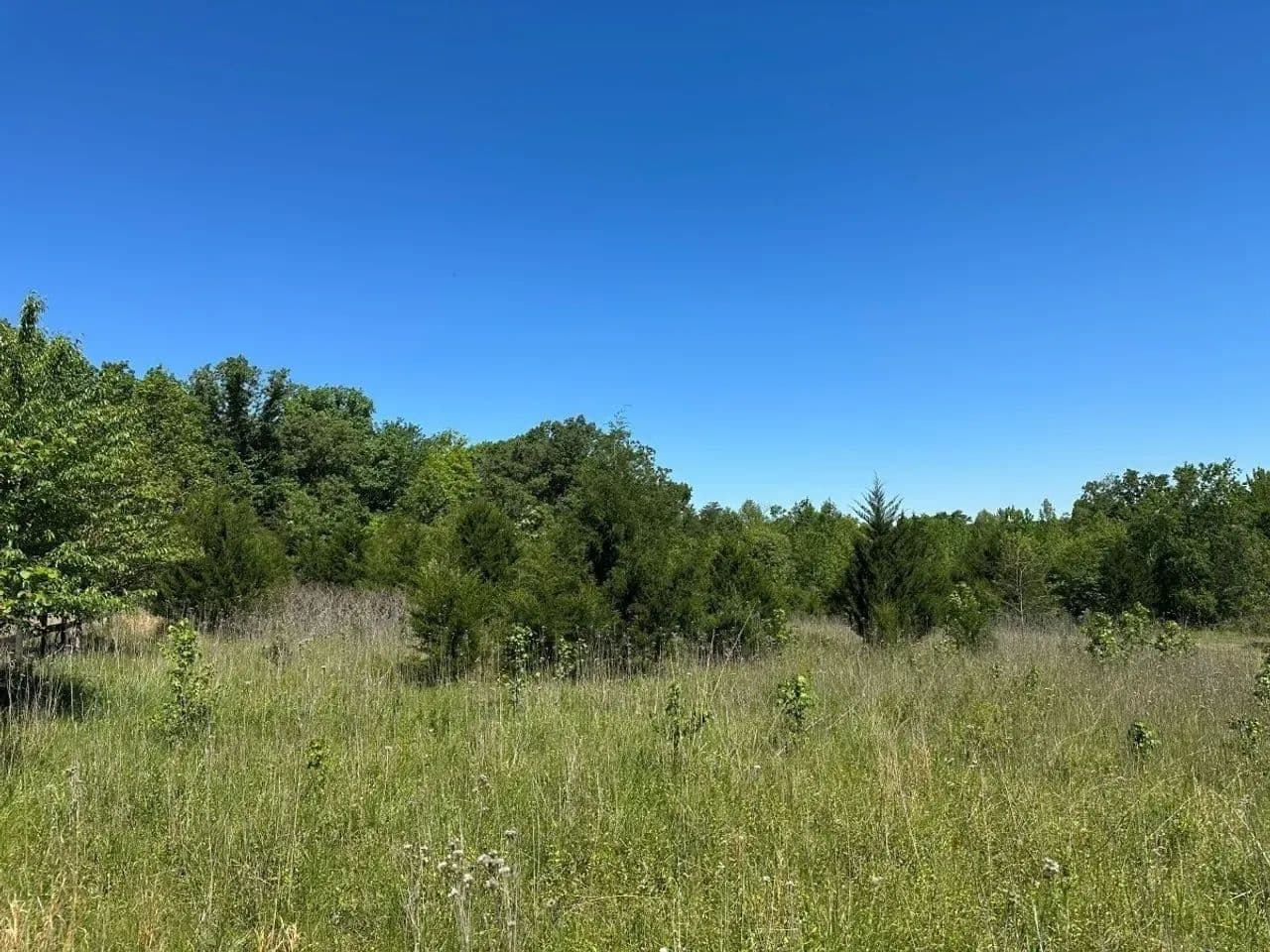 UPDATED!!  8.158 acres of Residential and Recreational Land for Sale in Nelson County VA! - Howardsville, Virginia, 24562