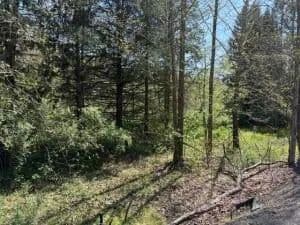 Lots & Land-Other in Summersville