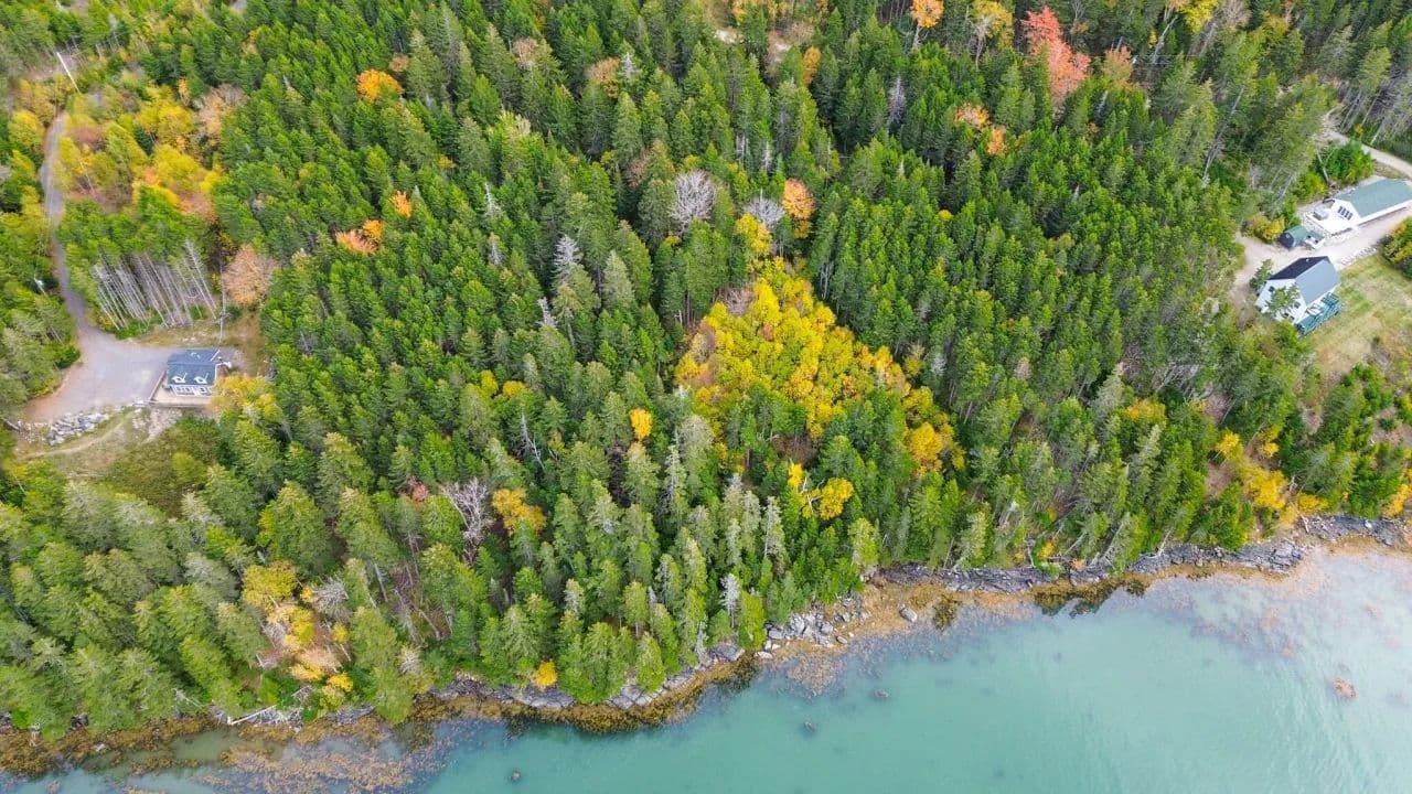 Land -Single Family Acreage in Roque Bluffs - Roque Bluffs, Maine, 04654