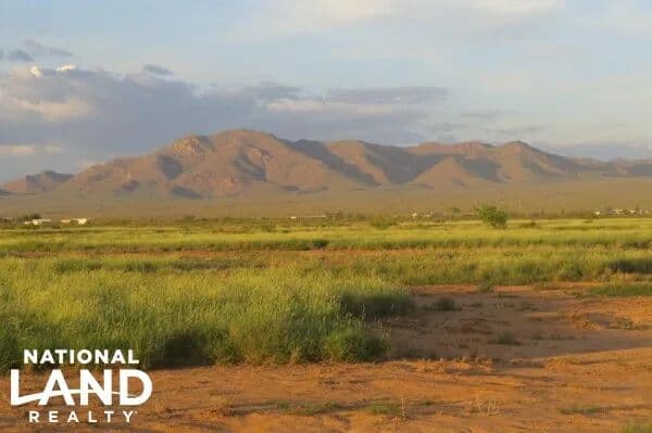 Lordsburg, NM 1520 Acres Farm/Ranch/Data Center 115 AC of Water Rights - Lordsburg, New Mexico, 85045