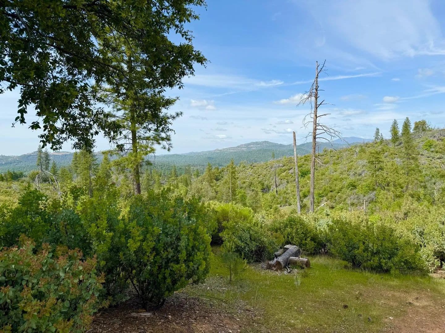 Lots & Land-Other in Sheep Ranch - Sheep Ranch, California, 95246