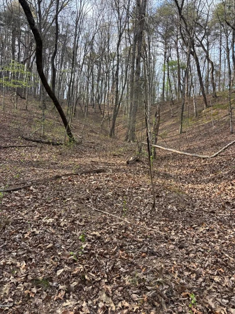 39.3 Acres in Hamilton County, TN 