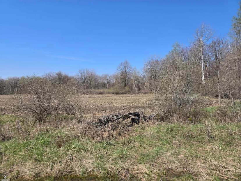 Lots & Land-Other in Sandusky