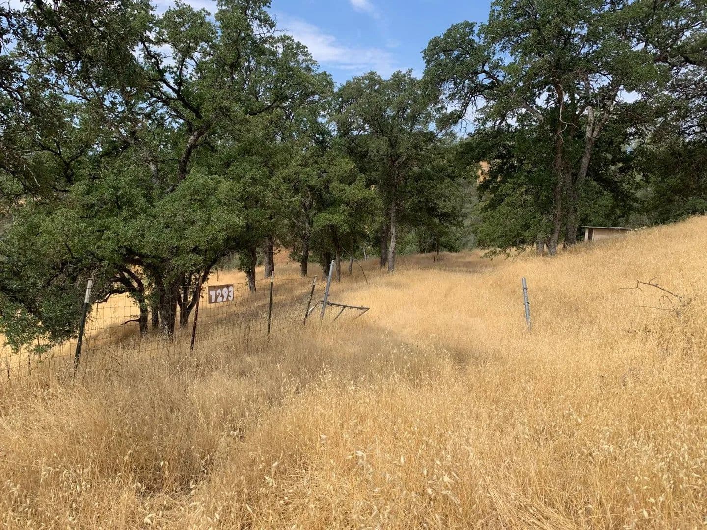 Property from 7293 Hawk Court - KW - Corning, California, 96021