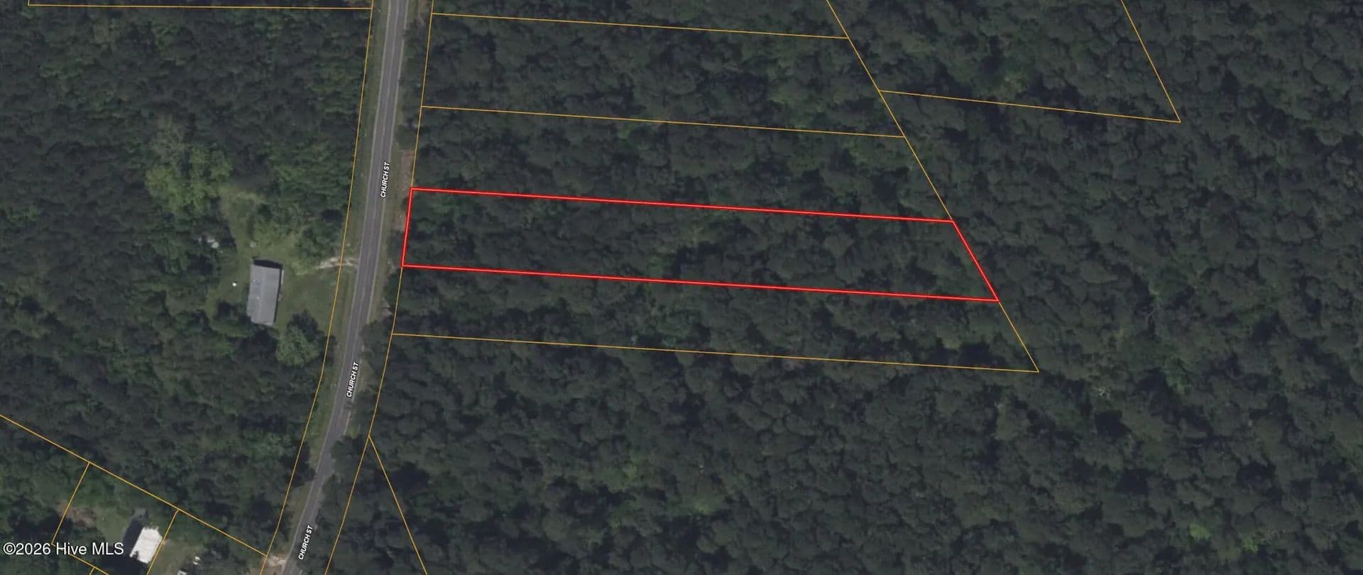 Lots & Land-Other in Willard - Willard, North Carolina, 28478