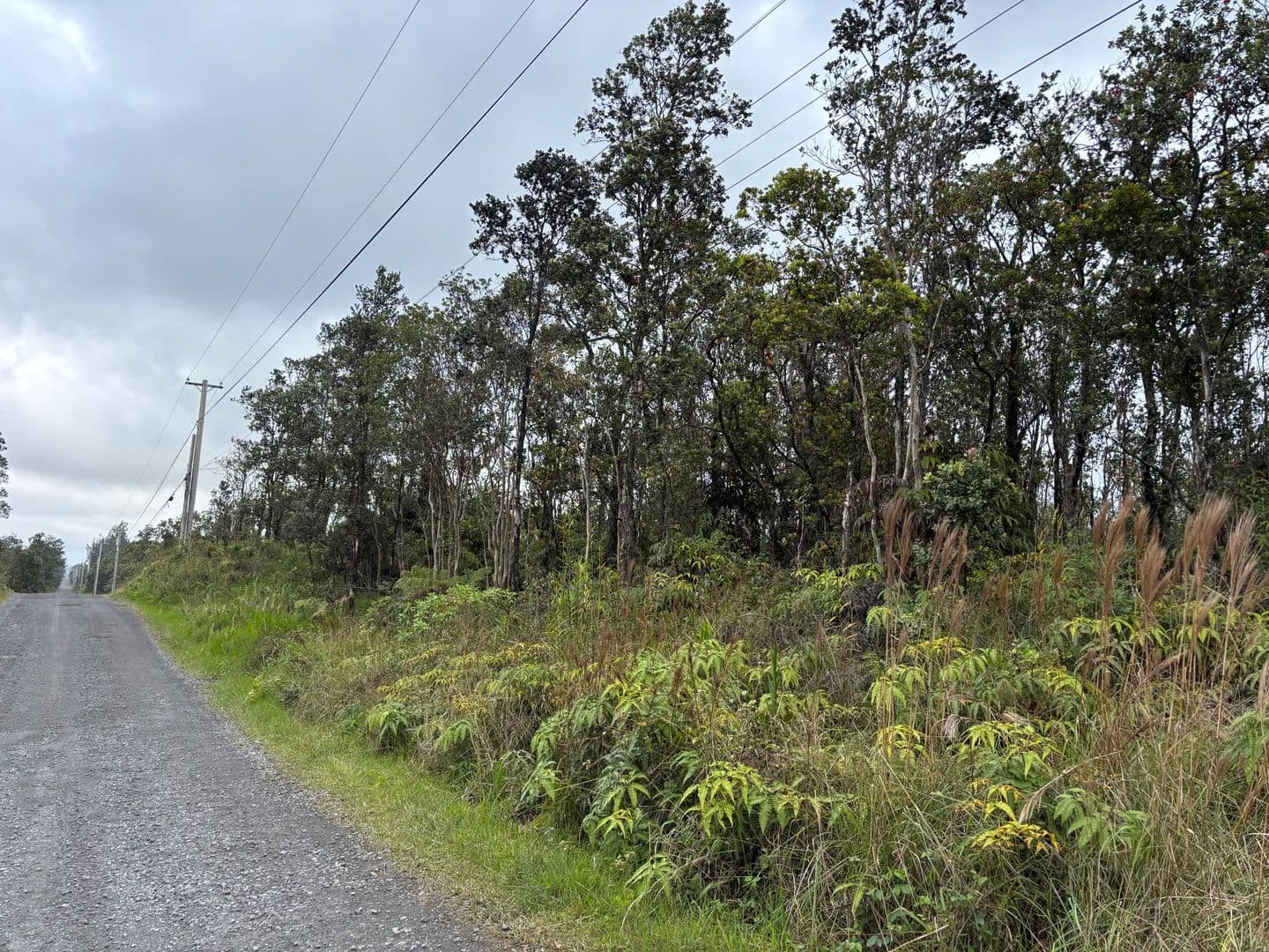 Vacant Land in Volcano - Volcano, Hawaii, 96785