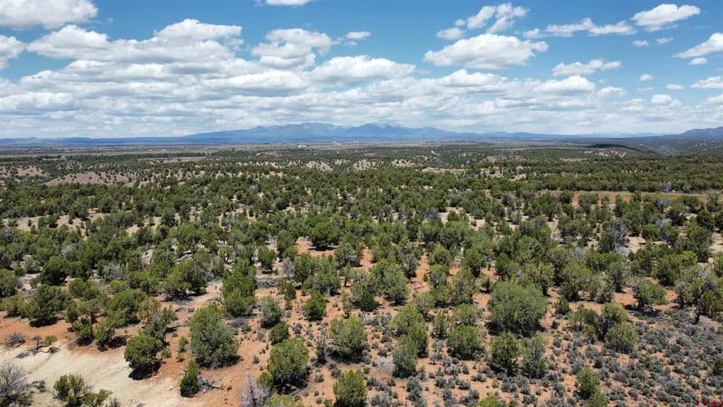 Property from 4001 CR 136 - KW - Ignacio, Colorado, 81122