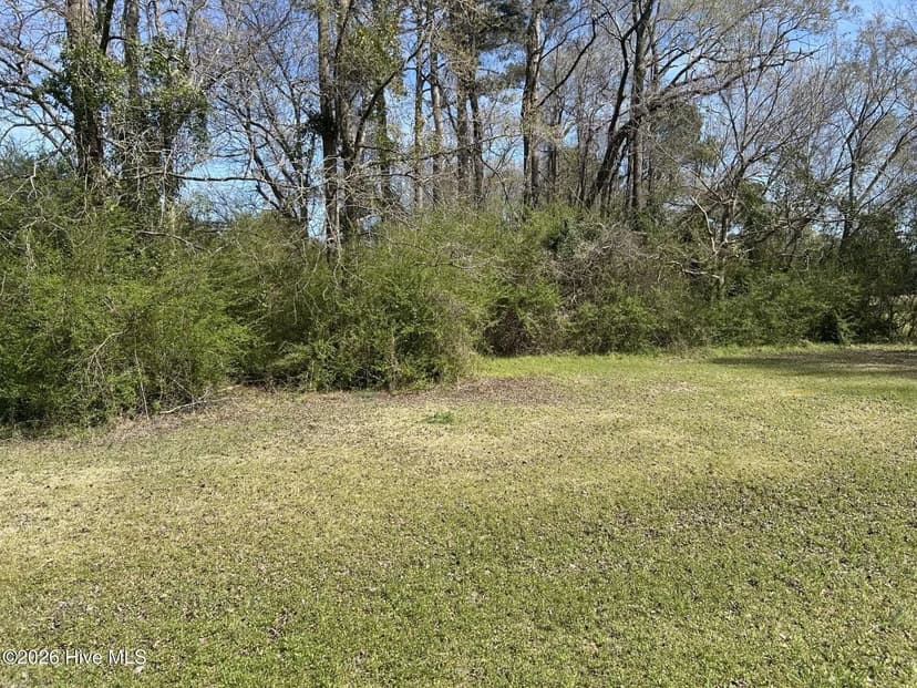 Vacant Land in Willard