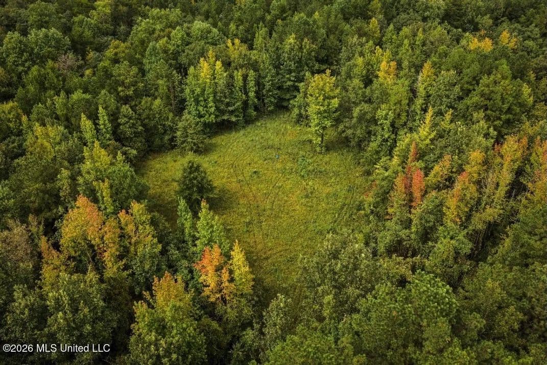 900 Acres for Sale - Hunter's Paradise South Mississippi - Liberty, Mississippi, 39645