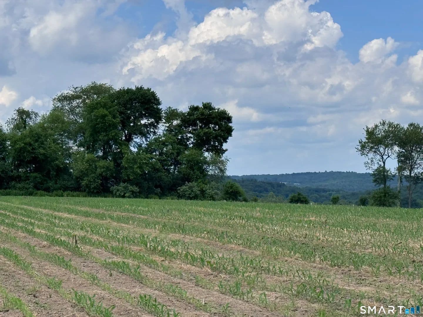 Vacant Land in Woodstock - Woodstock, Connecticut, 06281
