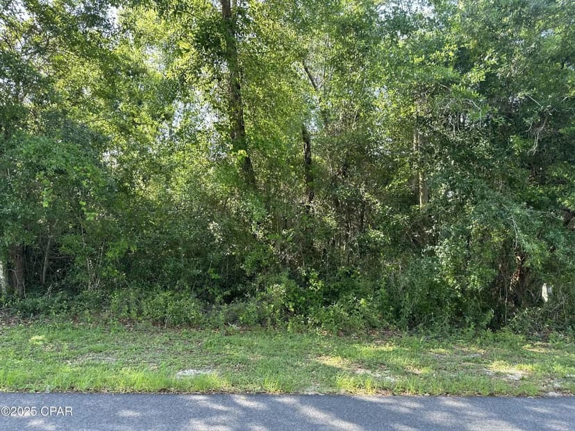 Lots & Land-Other in Youngstown