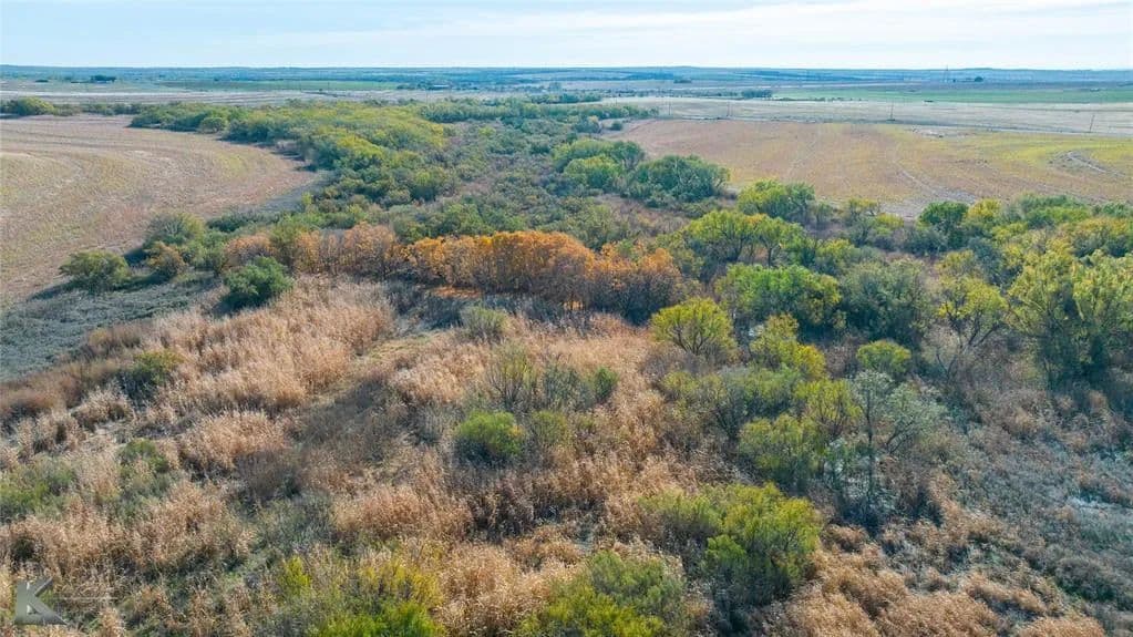 Vacant Land in Roby - Roby, Texas, 79543
