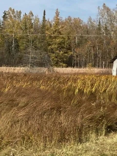 Land -Agricultural (Not Zoned) in Pickford