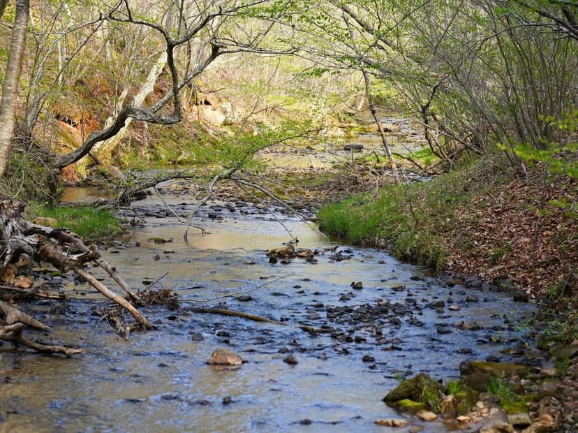 Boulder Creek Bend: 102+/- Creekside Acres with Mountain Views in Franklin County, VA