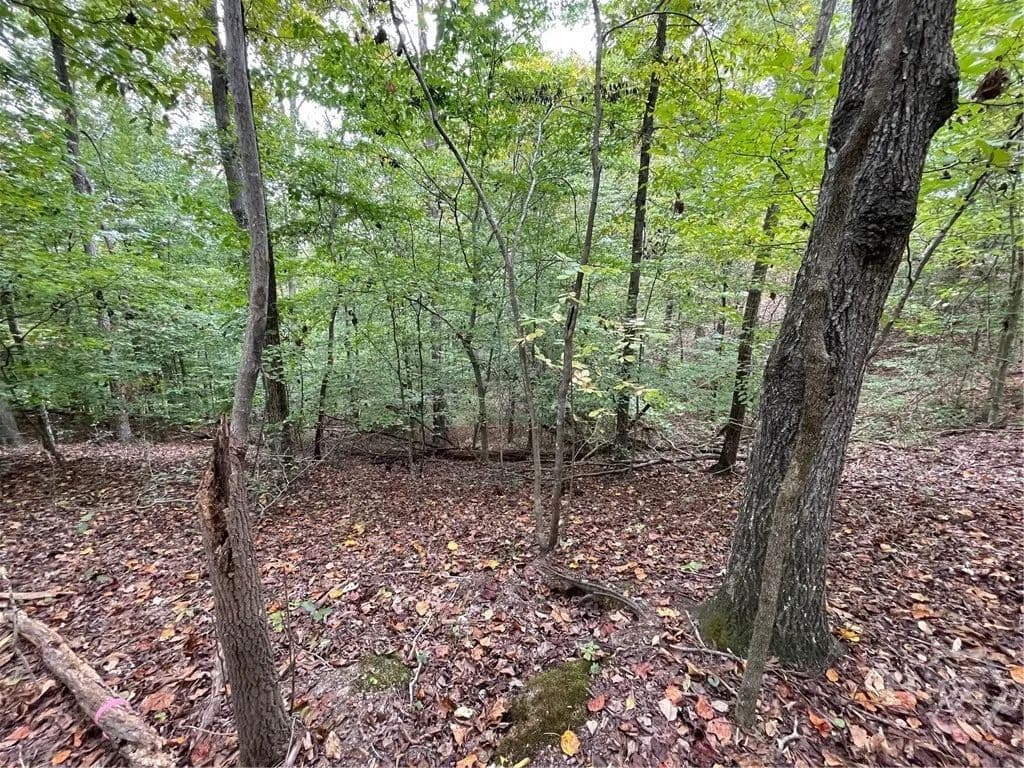 Vacant Land in Westminster - Westminster, South Carolina, 29693
