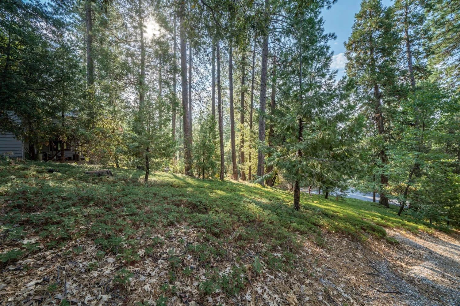 Lots & Land-Other in Murphys - Murphys, California, 95247