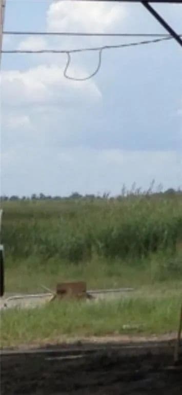 Property from W BAYOU Lane - KW