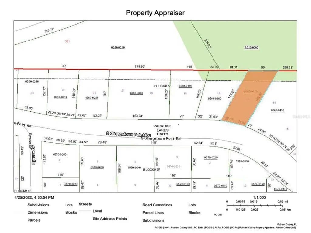Vacant Land in Georgetown - Georgetown, Florida, 32139