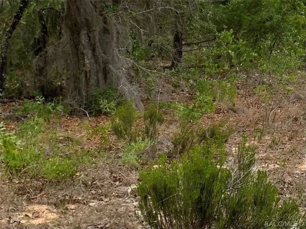 Lots & Land-Other in Hawthorne - Hawthorne, Florida, 32640