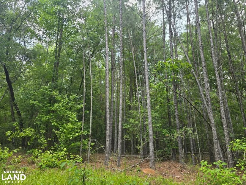Talladega County Farm/Home Site