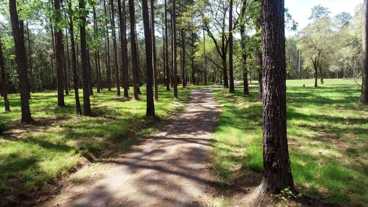 Shulerville Farm 134 Acres - Shulerville, South Carolina, 29453