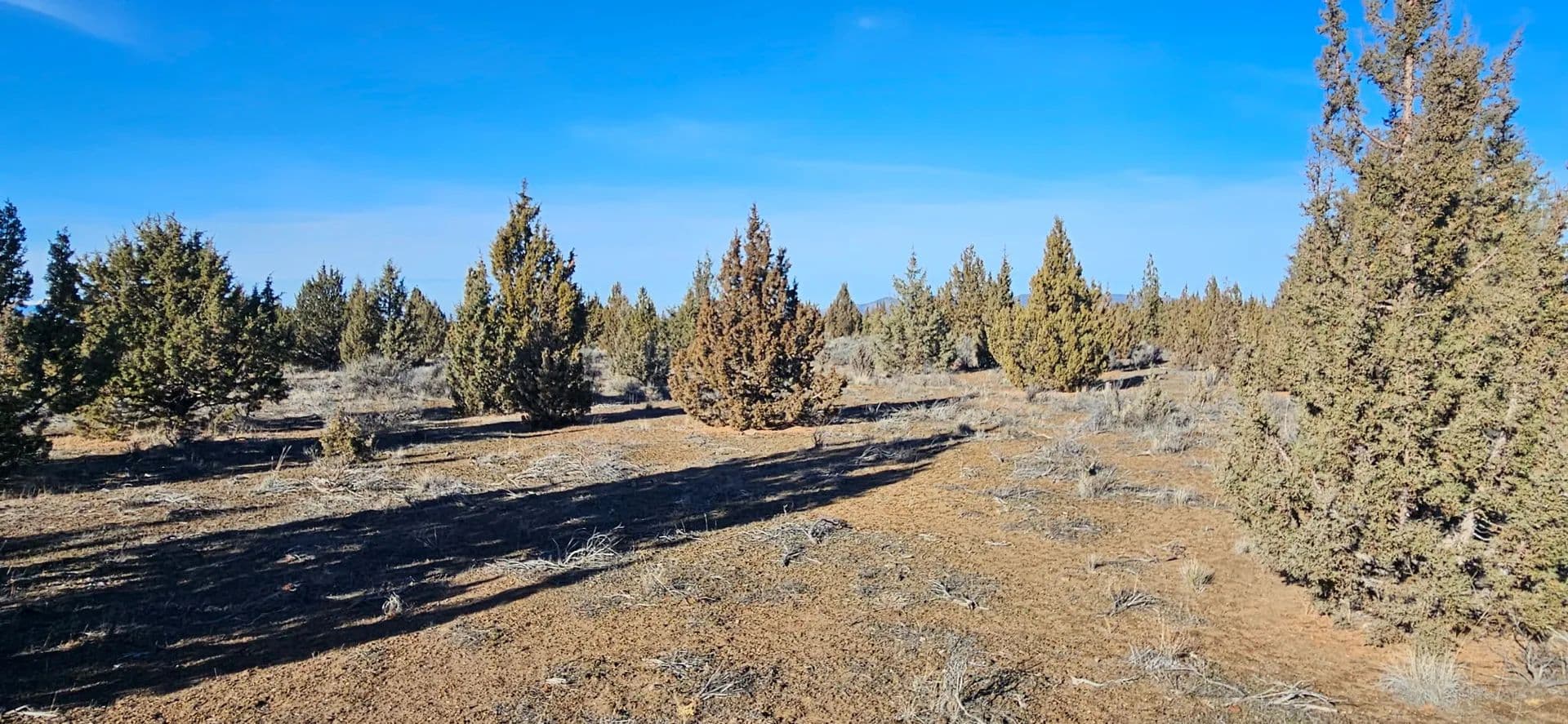 Vacant Land (0-10 Acres) in Prineville - Prineville, Oregon, 97754