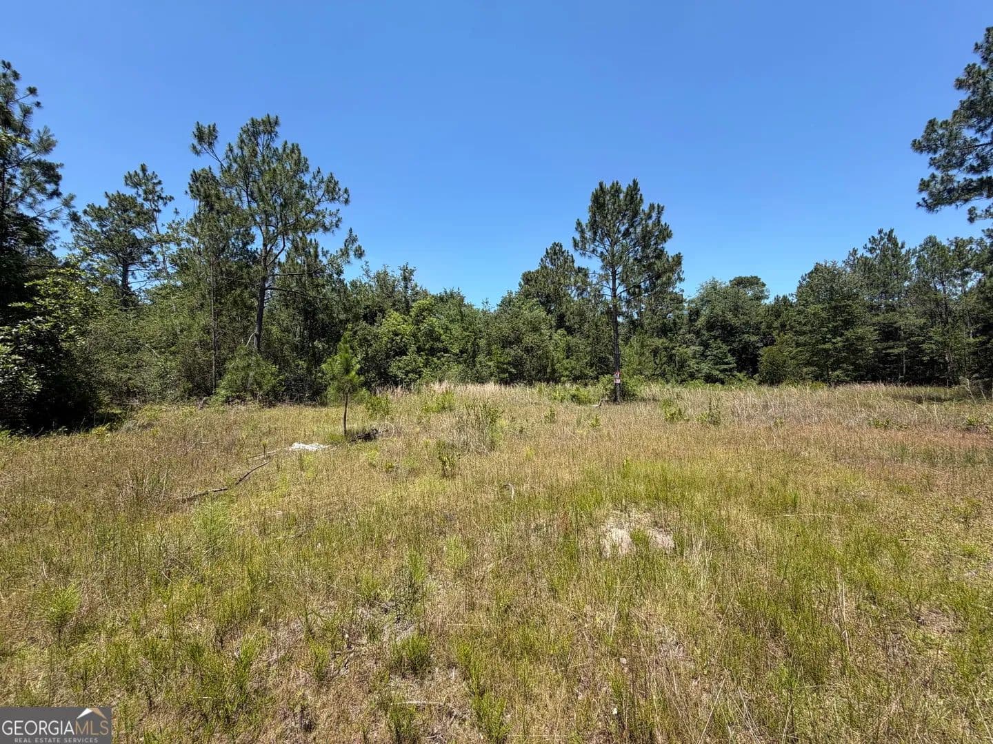 6.9 Acres of Land for Sale in Hazlehurst, Georgia - Hazlehurst, Georgia, 31539