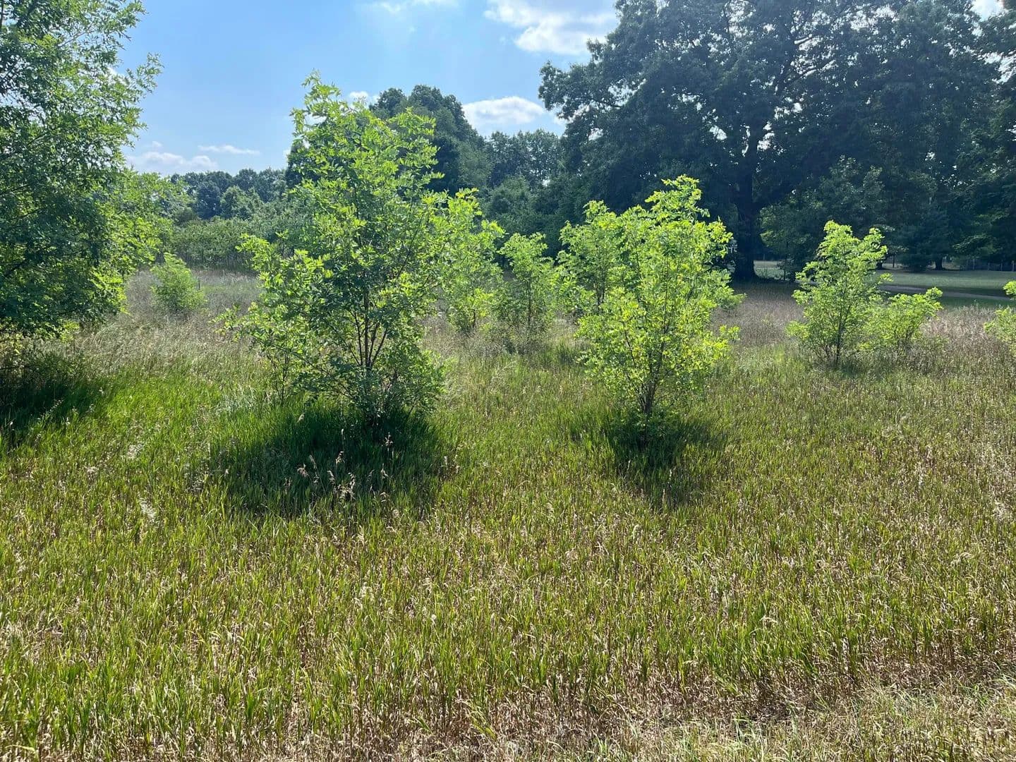 Lots & Land-Other in Allegan - Allegan, Michigan, 49010