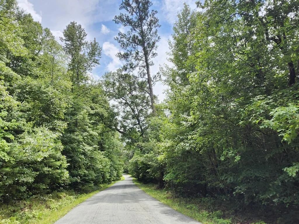 Vacant Land in Nathalie - Nathalie, Virginia, 24577