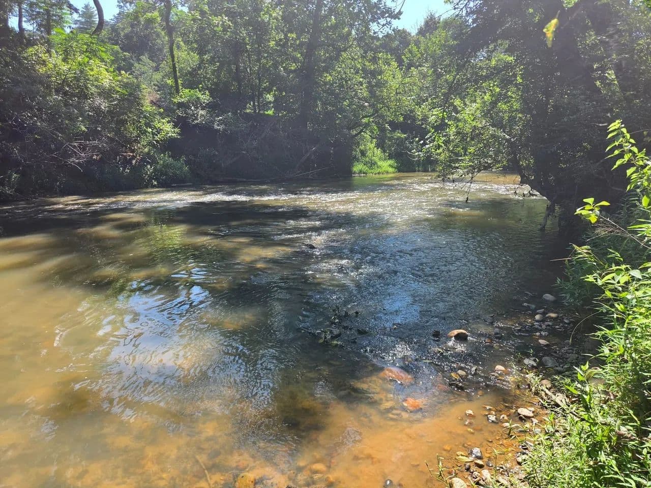 +/-36.9ac - 700 Nelson Lane North Wilkesboro NC - Wilkes Co - North Wilkesboro, North Carolina, 28659