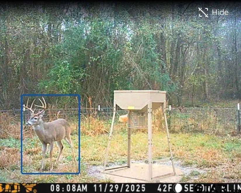 97.85 Acres of Land for Sale in Atlanta, TX - Atlanta, Texas, 75551