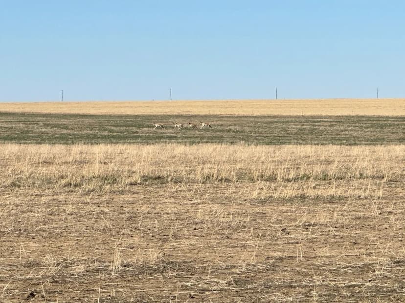 Kiowa County Farmland #26026