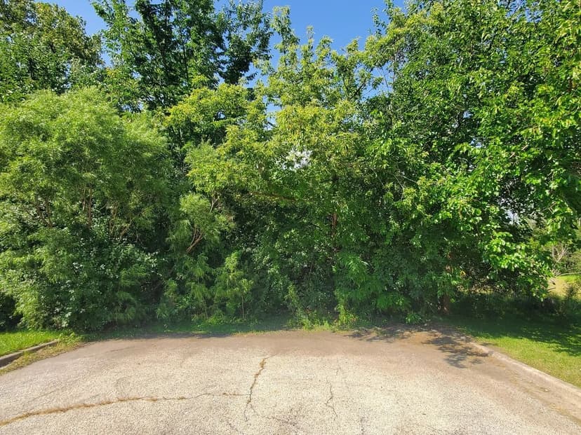 Vacant Land in Waukegan