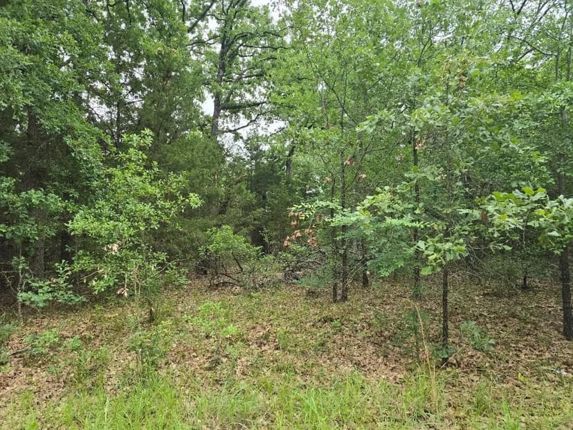 Property from Lot 1007 Kickapoo Trail - KW
