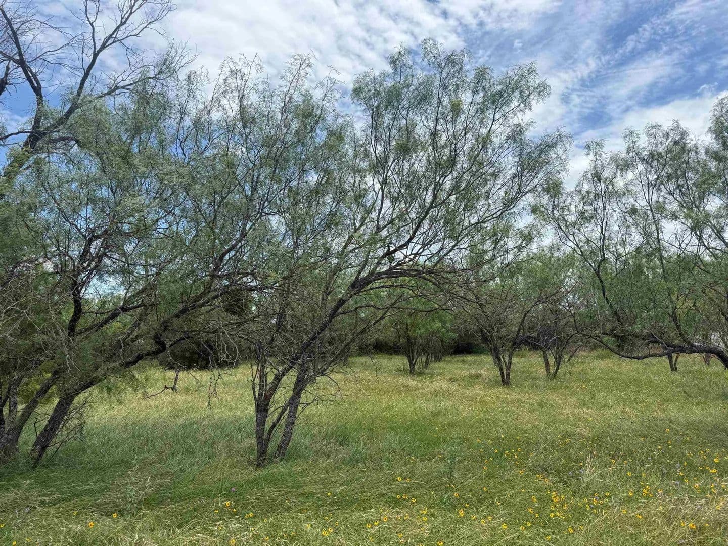 0.11 Acres of Land for Sale in Horseshoe Bay, Texas - land for sale