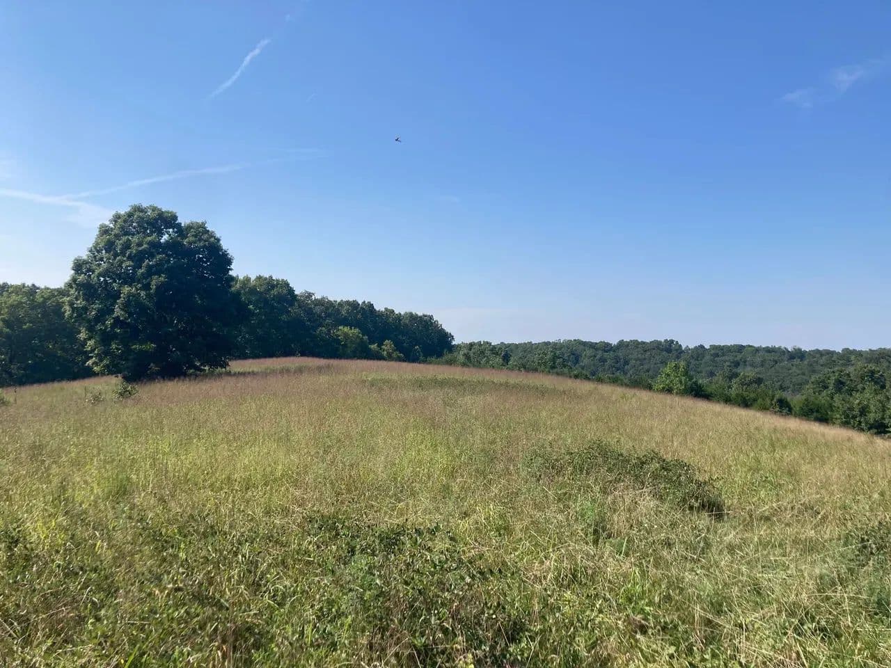 Beautiful 78 acres in Christian County near Bruner, MO with Shop and other building - Bruner, Missouri, 65620