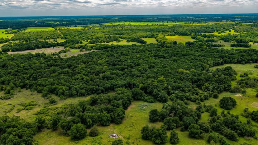 73.43 Acres in Burleson County