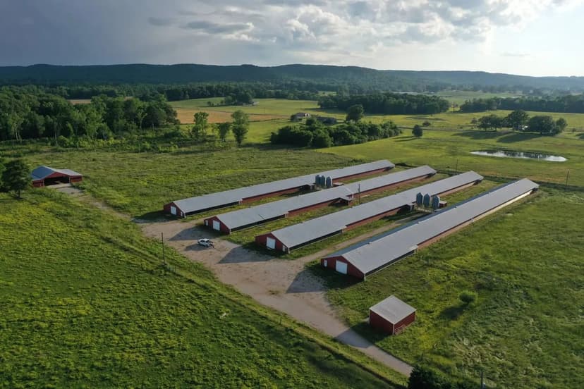 Mount Hope Six House Broilers – Lawrence County, Alabama